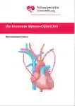 1 022 Bypassoperation DE 2020