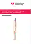 1 034 Beinarterien DE 2016