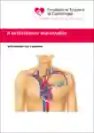 1 073 Defibrillator IT 2016