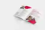 Header magazin 02 26 DE