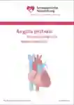 1 001 Angina pectoris Koronarangioplastie Bypass OP DE 2025