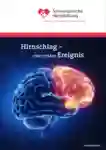 3 046 Flyer Hirnschlag DE 2021
